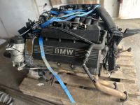 BMW M60B30 V8-Motor aus einem 7er BMW Dresden - Niedersedlitz Vorschau