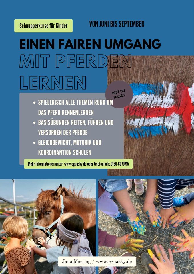 Reitunterricht / Schnupperkurse / Pferdezeit für Kinder in Bad Marienberg