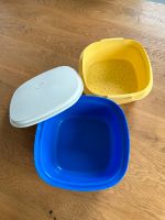 Tupperware Siebservierer Thermo Duo 3,0 l Niedersachsen - Riede Vorschau