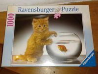 Ravensburger Puzzle 1000 Zeile Katzenbaby am Goldfischglas *NEU* Bayern - Rosenheim Vorschau