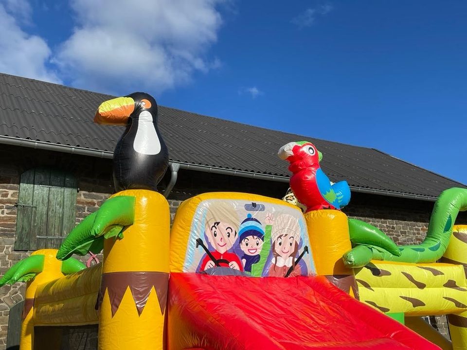 Hüpfburg Safari mieten / Hüpfburg Verleih / Kindergeburtstag in Lohmar