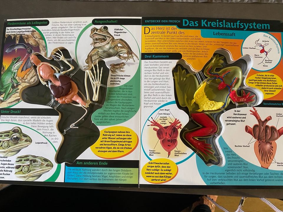 Buch Frosch in 3D mit Organen in Duisburg