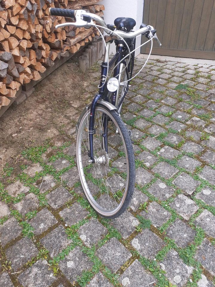 Fahrrad Giant in Hörgertshausen