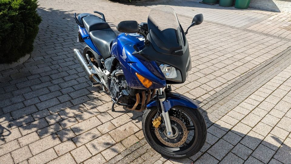 Honda CBF 600 SA (PC38) - Scheckheftgepflegt, Neue Reifen, Blau in Linden