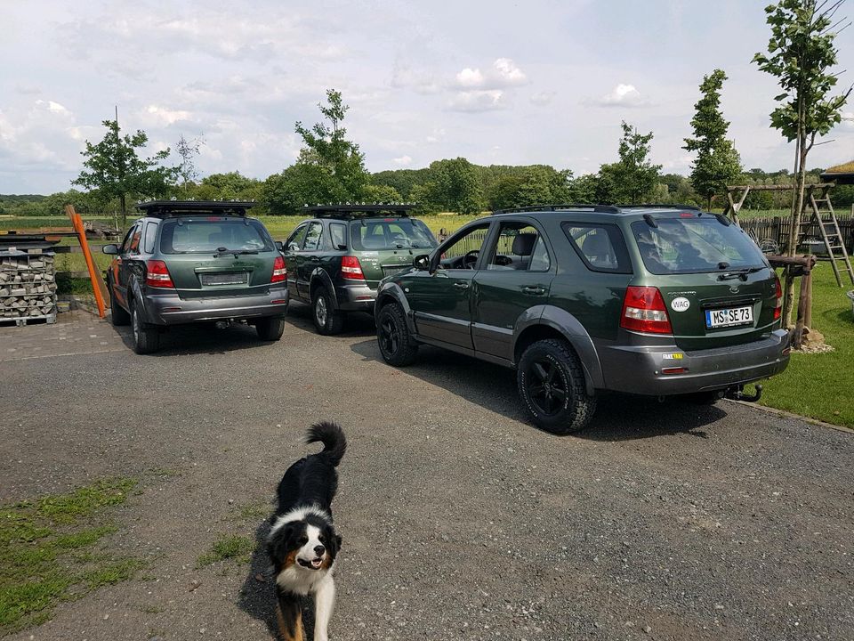 Suche Kia Sorento I JC  von Bj. 03 - 06 von TOP bis Flop in Amelsbüren