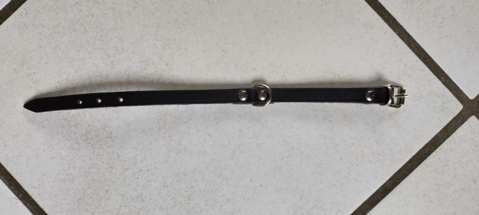 Welpenhalsband, Leder, Umfang bis ca. 20 cm, schwarz, neu in Barwedel