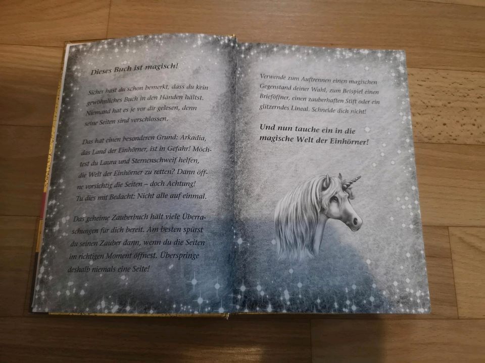 Sternenschweif Das geheime Zauberbuch Kinderbuch Lesebuch Einhor in Crimmitschau