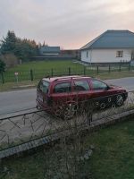 Opel Astra g caravan TÜV neu Brandenburg - Nuthe-Urstromtal Vorschau