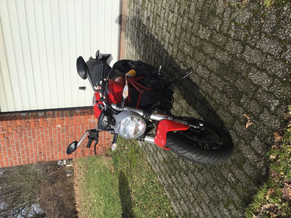 Ducati Monster 797 in Wadersloh
