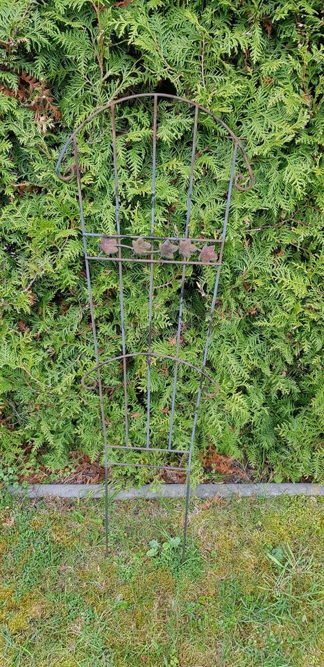 Verschiedene Pflanzenstütze Buschstütze Bodenstütze Rund in Stapelfeld