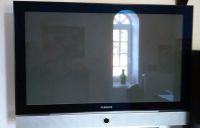 Samsung 42" Plasma Fernseher Niedersachsen - Loxstedt Vorschau