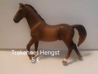 Schleich Hengst und Wallache Thüringen - Windischholzhausen Vorschau