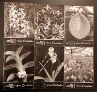 Die Orchidee - Mitgliedszeitschrift aus den Jahren (1963-65) Schwachhausen - Neu Schwachhausen Vorschau