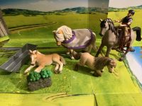 Schleich Set Pferde und Zubehör Nr 27 Schleswig-Holstein - Krempe Vorschau