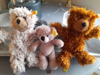 Steiff Teddy Bär Kuscheltier Familie Stofftier Schleswig-Holstein - Preetz Vorschau