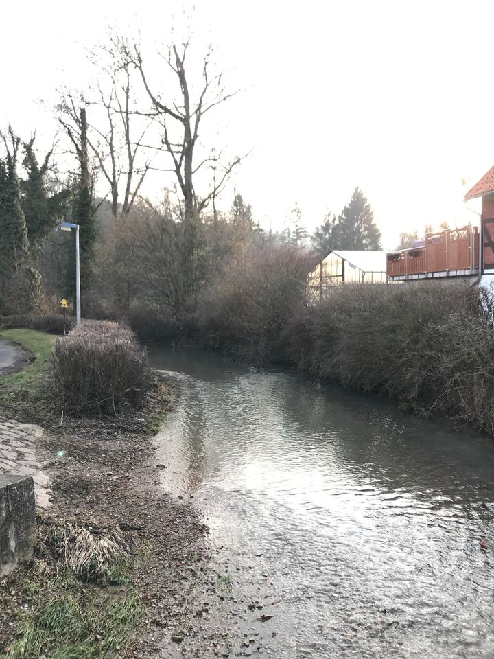 Weideplatz Sommerweide frei Pferdeweide Wiese in Brunkensen in Alfeld (Leine)