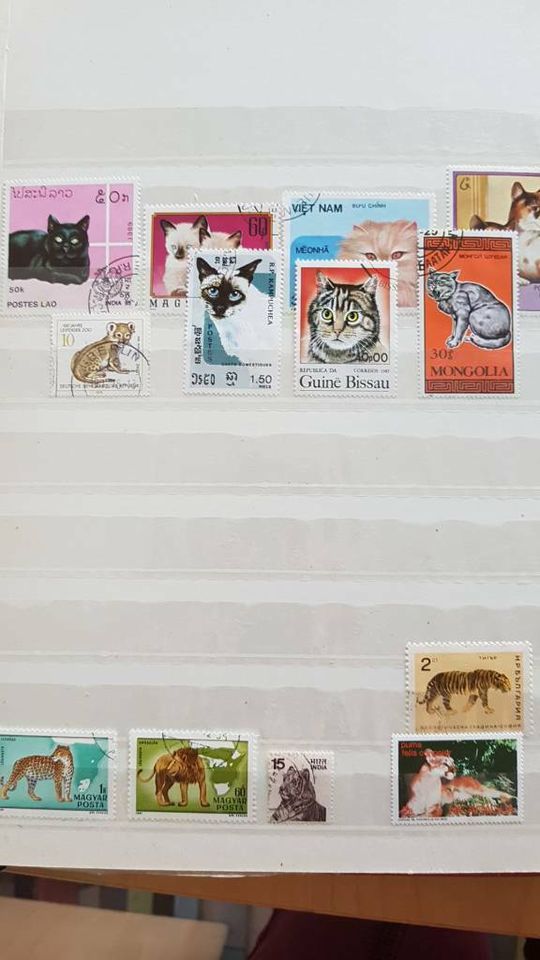 Briefmarken Sammlung Sets Weltraum Blumen Tiere usw. in Berlin