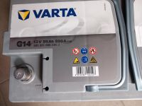 Varta AGM Batterie 12V Rheinland-Pfalz - Waldsee Vorschau