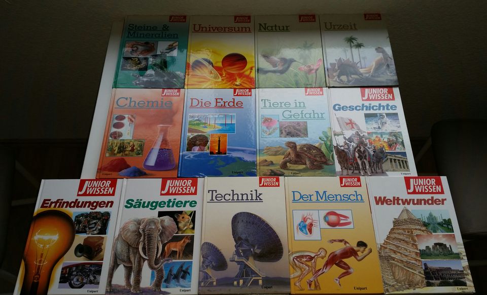 12 Bücher der Reihe "Junior Wissen" / Unipart-Verlag (gebraucht) in Weinstadt