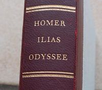 Homer Ilias Odyssee 24 Gesänge Niedersachsen - Uetze Vorschau