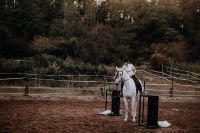 Mobiler Reitunterricht Dressur, Tensegrales Training, Working Eq. Bayern - Würzburg Vorschau