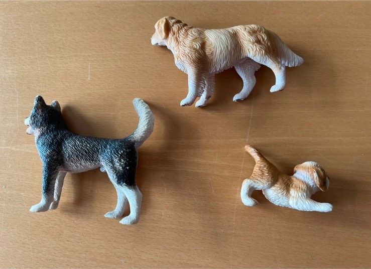 Schleich Hunde (3 Stück) Golden Retriever, Husky, Bernhardiner in Billerbeck