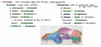 Tiermedizinische Fachangestellte Prüfungsvorbereitung Bayern - Erding Vorschau