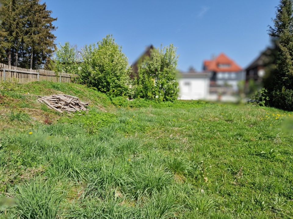 Handwerker-Immobilie in Benneckenstein – Einfamilienhaus oder Vermietungsobjekt - Sie entscheiden! in Benneckenstein (Harz)