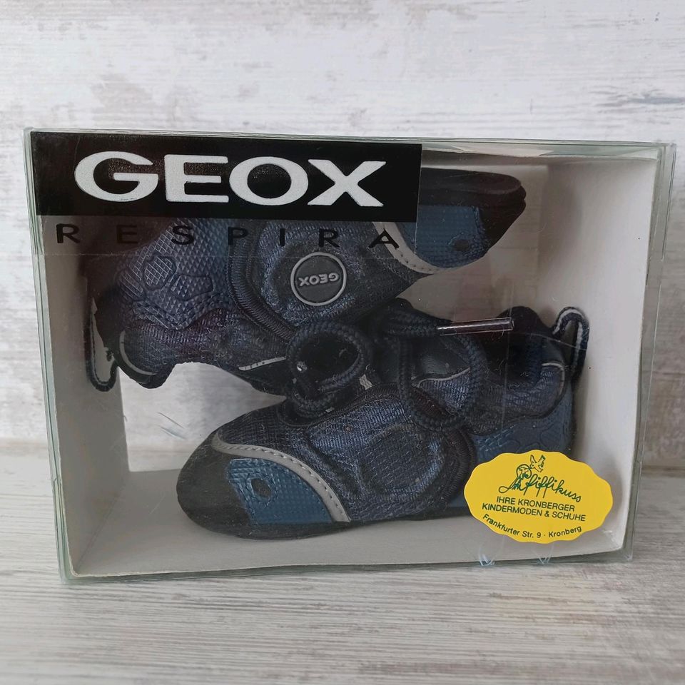 Geox Babyschuhe Größe 19 in Karben