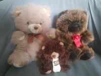 3 Teddybären *** Teddy Bärenfamilie Sachsen - Lauta Vorschau
