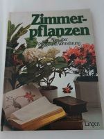 Buch Zimmerpflanzen Lingen Verlag Berlin - Wilmersdorf Vorschau