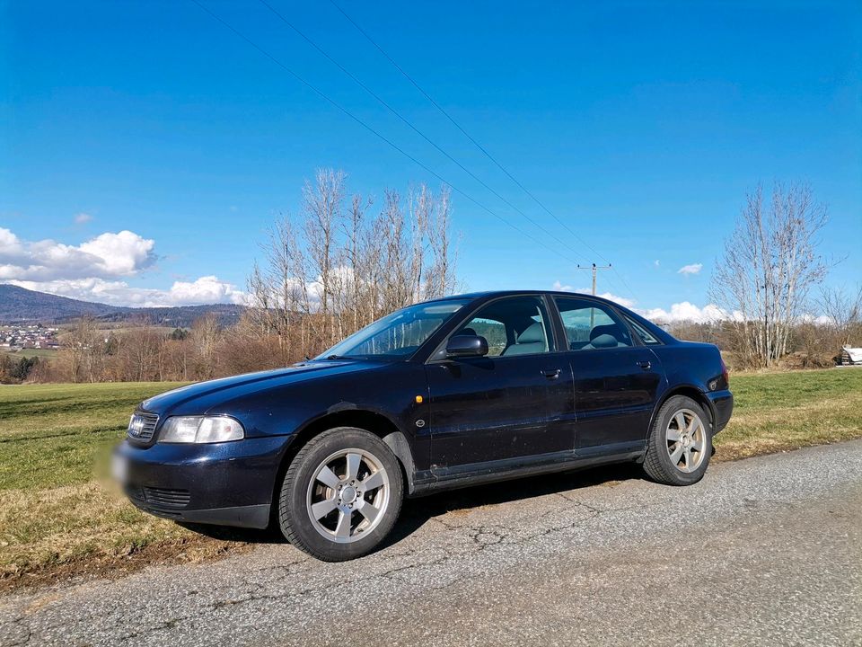 Audi A4 B8 in Eppenschlag