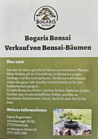 Bonsai-Bäume Outdoor Niedersachsen - Ritterhude Vorschau