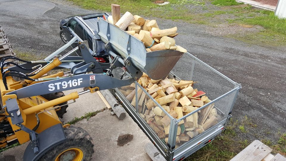 Sommeraktion Kaminholz Brennholz Fichte Buche trocken ofenfertig in Waltershausen