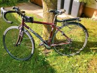 Rennrad Specialized Allez Vita RH 51cm Bayern - Neu Ulm Vorschau