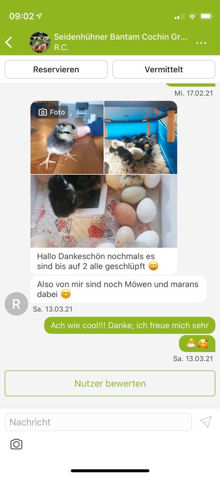 Bruteier Hühner Küken Buntleger Marans Orpington in Lemwerder