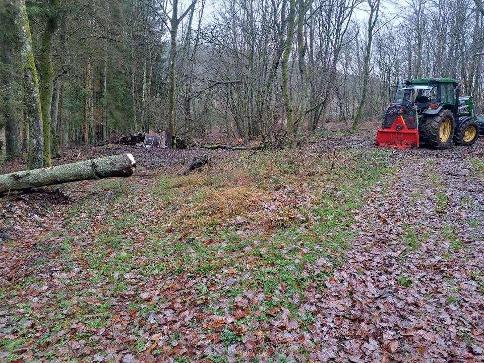 Holzeinschlag brennholz kegelspalter forstdienstleistungen in Bermel