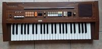 Casiotone 401 Orgel Synthesizer 1970er Jahre funktioniert Bayern - Amerang Vorschau