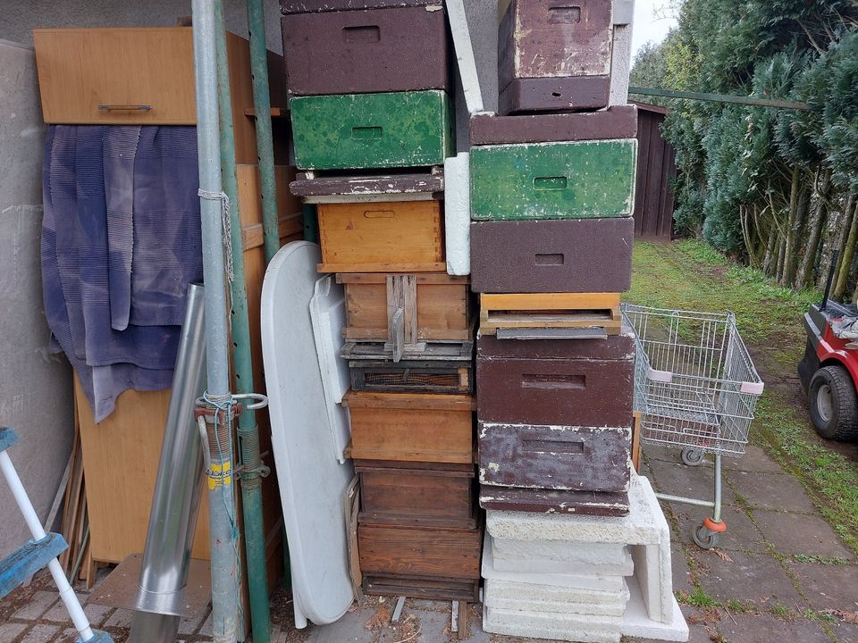 Bienenbeute DNM in Reiskirchen