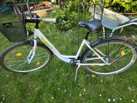 Damen 28 zoll Fahrrad Citybike mit Korb Schleswig-Holstein - Badendorf Holstein Vorschau