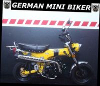 SKYTEAM SKYMAX 125-6 E5 CLUB-S INJECTION de LUXE Metallic-YELLOW Bayern - Mindelheim Vorschau