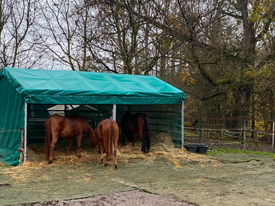 Haas original Weidezelt gebraucht in Kalefeld