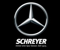 Mercedes Benz Verteilergetriebe Reparatur ML GL R Klasse 164 251 Sachsen - Ottendorf-Okrilla Vorschau