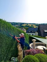 Gartenpflege ✅️ Heckenschnitt ✅️ Rasenmähen ✅️ Entsorgung ✅️ uvm. Baden-Württemberg - Biberach an der Riß Vorschau