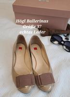 Högl Ballerinas leder München - Ramersdorf-Perlach Vorschau