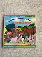 Mein großes Pop-up-Buch: Bauernhof Münster (Westfalen) - Kinderhaus Vorschau
