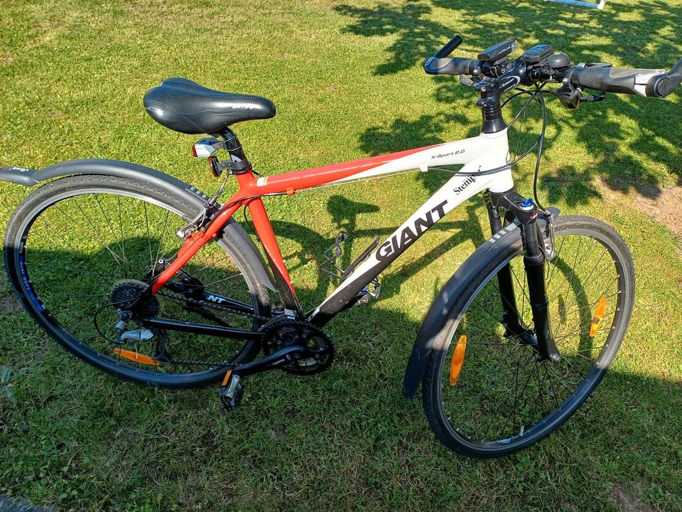 Damen Trekkingbike Giant, Fahrrad 27 Zoll, Größe M in Konz