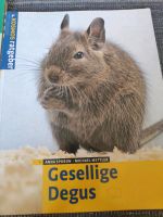 Buch:"Gesellige Degus" Kosmos Ratgeber Bayern - Roth Vorschau