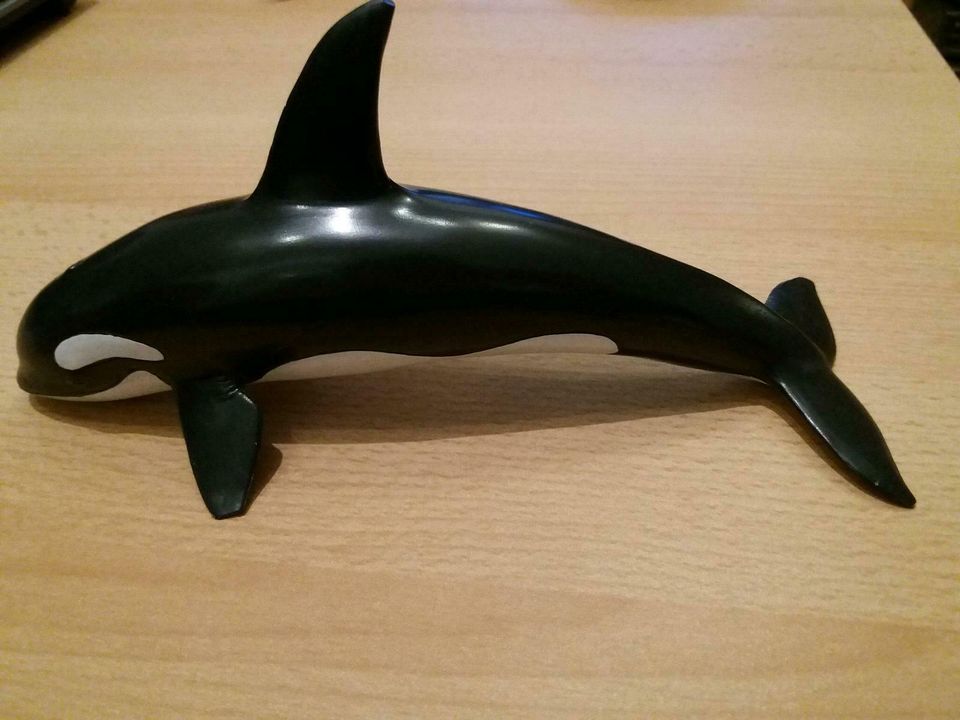 Orca von Schleich in Heidelberg