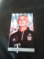 Fußball Gerd Müller Niedersachsen - Winsen (Luhe) Vorschau